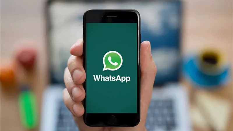 أحدث خدمات واتساب الجديدة . من المكالمات الجماعية إلى الأمان المتقدم 