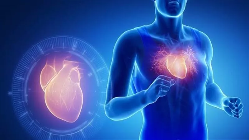 أطعمة لحماية القلب.. 10 اختيارات يومية لصحة أفضل