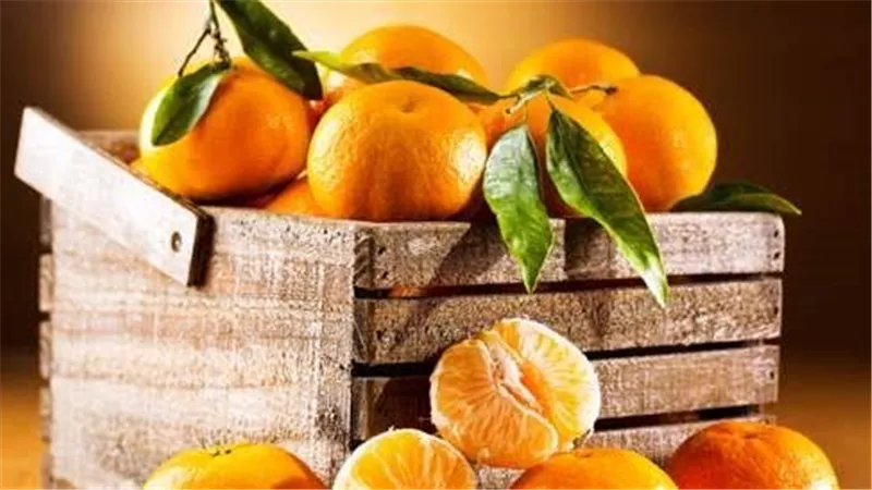هل يساعد اليوسفي على فقدان الوزن عند تناوله على الريق؟