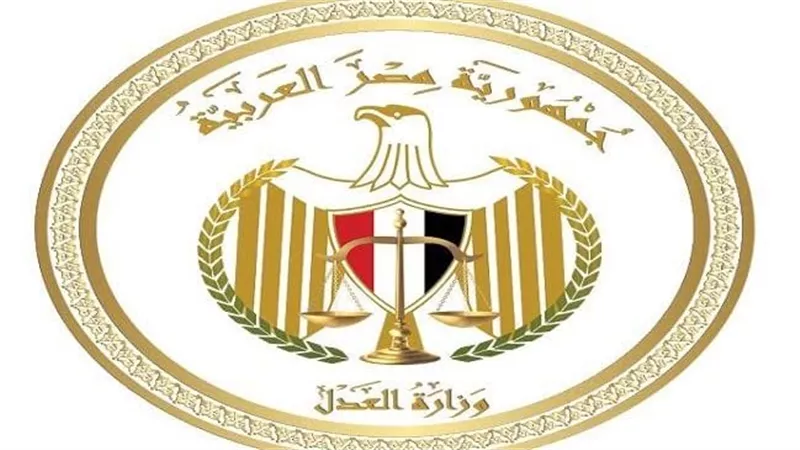 بالاسم.. طريقة الاستعلام عن القضايا من المنزل في دقائق معدودة