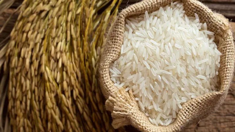 أسعار طن الأرز الشعير اليوم الأربعاء.. وصلت لكام في السوق