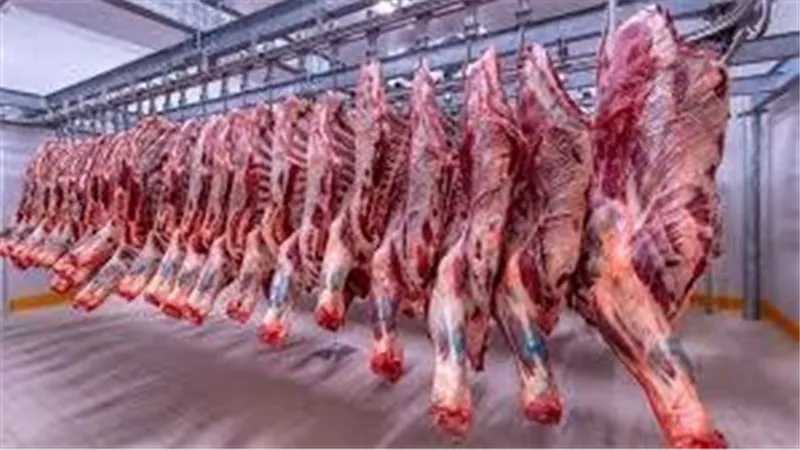 تراجع أسعار اللحوم في الأسواق اليوم.. تعرف على التفاصيل 