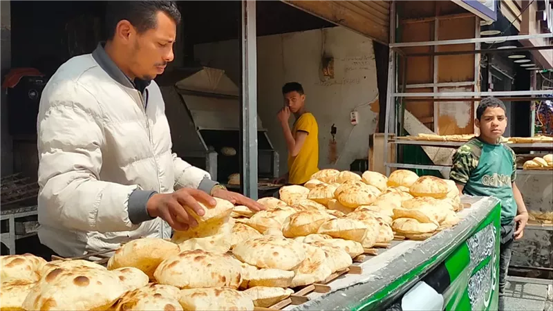 سعر رغيف الخبز بعد القرار الخاص بالمخابز البلدية.. هل حدث تغيير؟ 