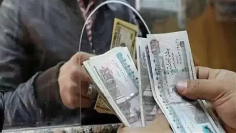 تعديلات قانون المعاش المبكر لعام 2025.. الشروط والخطوات وحالات الحرمان