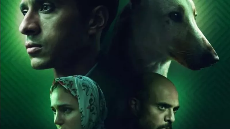 رامبو في مواجهة المجهول.. البوستر الرسمي لفيلم البحث عن منفذ لخروج السيد رامبو