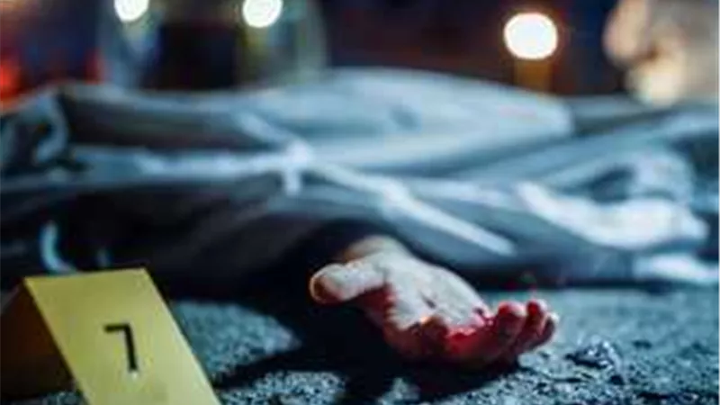 ضحية ابنها.. حينما يتحجر قلب الابن ويضرب أمه فيقتله شقيقه في الجيزة