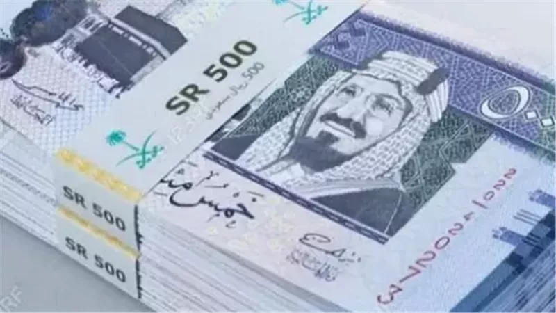 سعر الريال السعودي اليوم الجمعة 20-12-2024 في  مصر