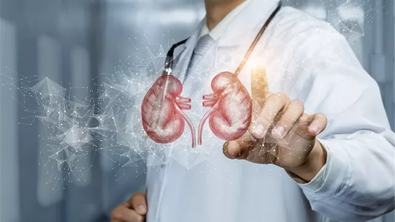 أفضل المشروبات الطبيعية لتنظيف الكلى ومنع تراكم السموم والحصوات