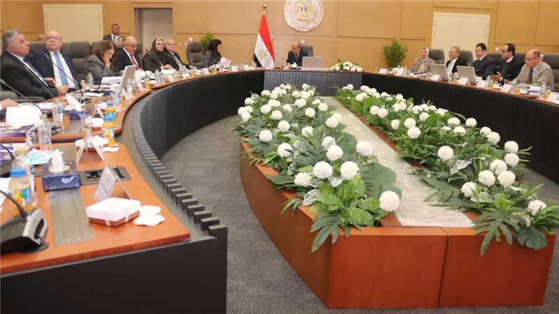 وزير الكهرباء: تحديث شبكة النقل لاستيعاب القدرات المضافة من الطاقات المتجددة 