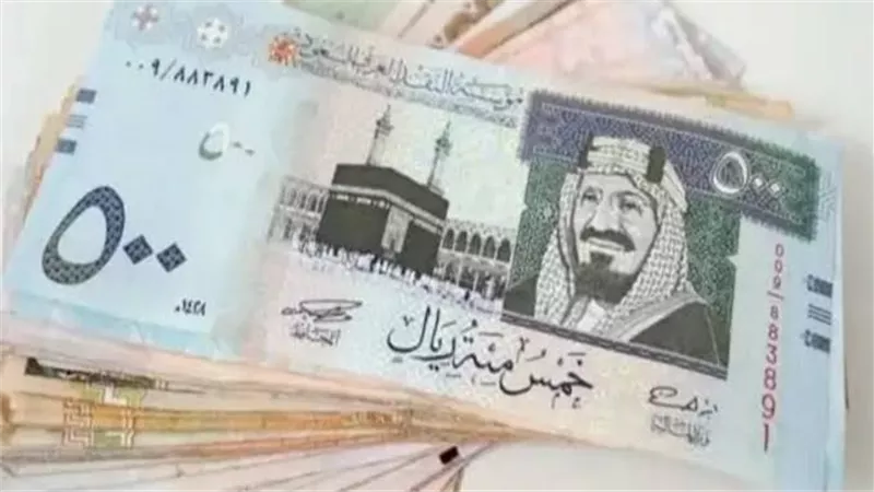 أسعار الريال السعودي اليوم في مصر.. استقرار في البنوك الحكومية والخاصة