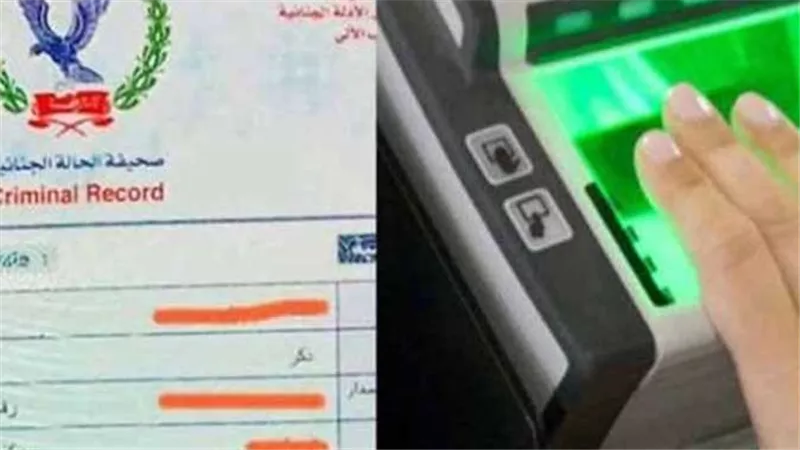 كيفية استخراج الفيش الجنائي إلكترونيًا في مصر 2024.. اعرف الخطوات 