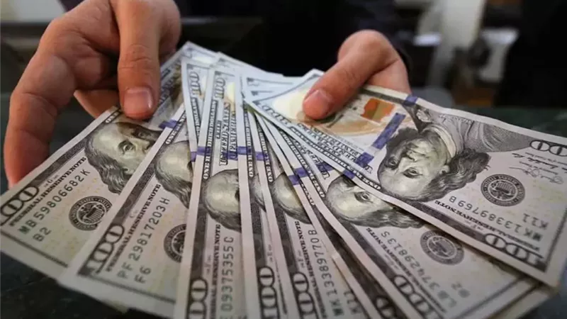 بعد العودة من الإجازة.. سعر الدولار في مستهل تعاملات الأسبوع