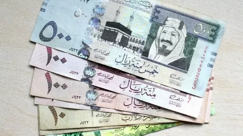 سعر الريال السعودي اليوم الأحد 29-12-2024 مقابل الجنيه المصري