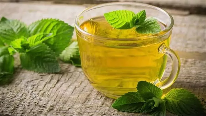 فوائد شرب الشاي الأخضر لصحة الجسم.. سر من أسرار الطبيعة