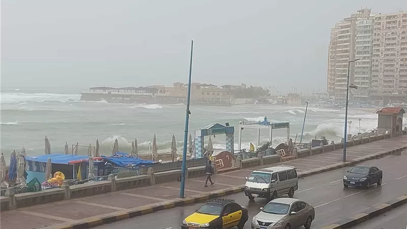 لمواجهة الطقس السيئ.. تعطيل الدراسة بالإسكندرية ومنح الموظفات إجازة استثنائية
