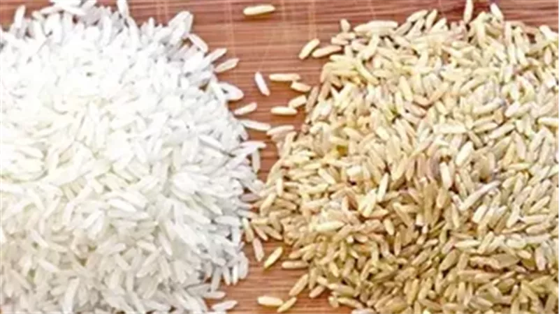 آخر تحديثات سعر طن الأرز الشعير اليوم الاثنين 30-12-2024 بالأسواق