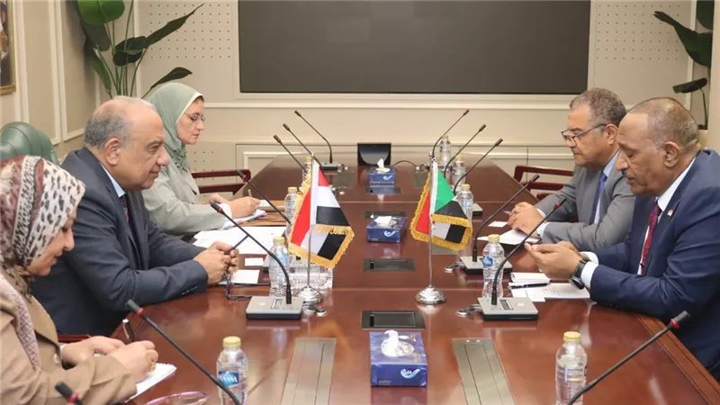 وزير الكهرباء يكشف آخر مستجدات مشروع خط الربط بين مصر والسودان