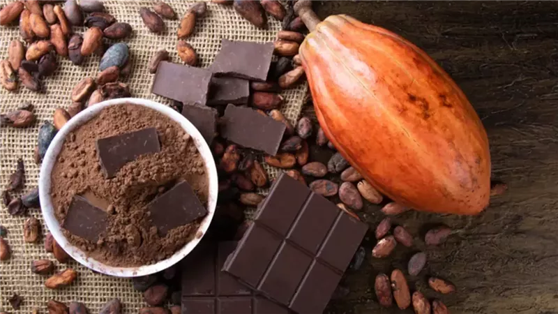 شعور بالدفء وفوائد صحية.. لماذا يجب عليك تناول الكاكاو هذا الشتاء؟