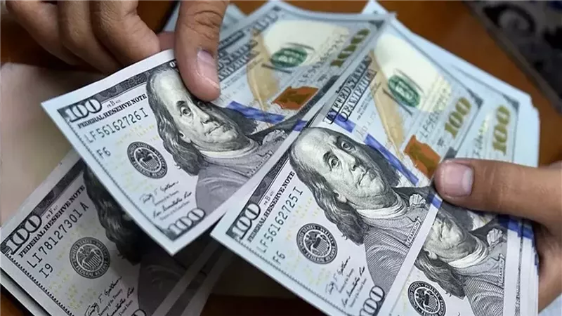العملات الأجنبية.. اطلع على سعر الدولار مقابل الجنيه المصري اليوم الثلاثاء 31 ديسمبر 2024