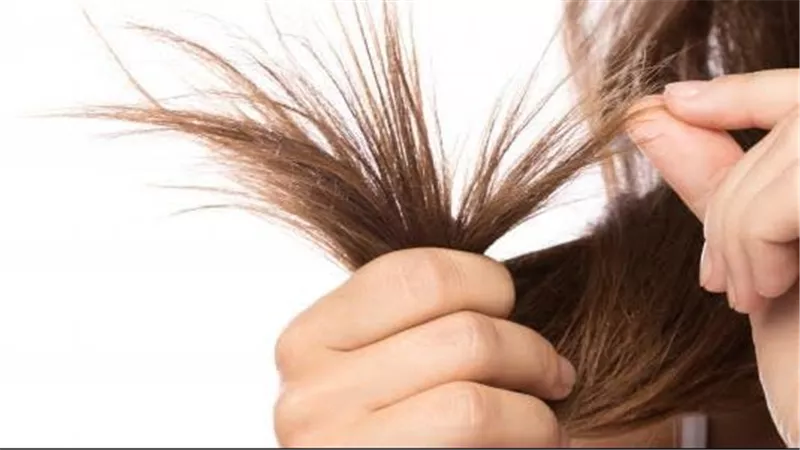 تعرف على أسباب تقصف الشعر وطرق العلاج منه