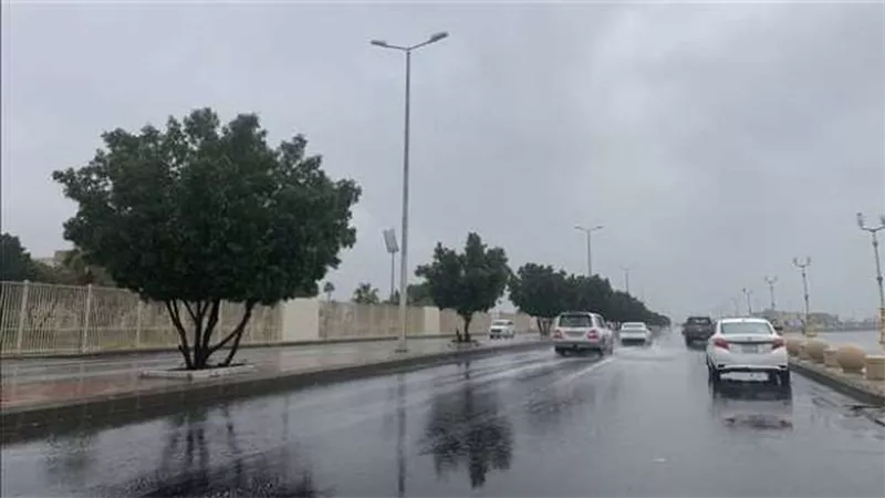 حالة الطقس اليوم الأربعاء.. تقلبات جوية شديدة في مستهل العام الجديد 