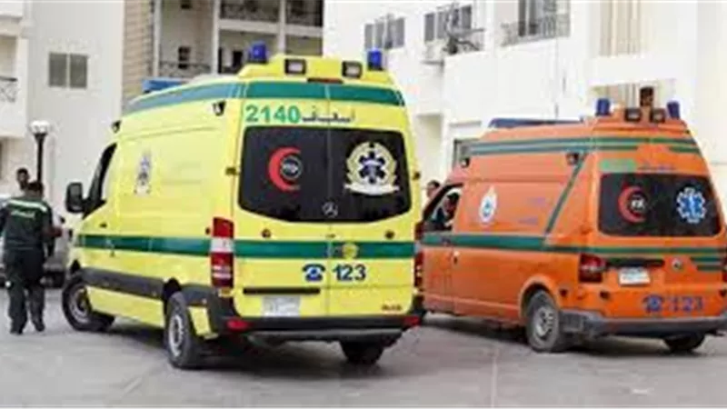 بجروح مختلفة وخطيرة.. إصابة 6 أشخاص في حادث الأقصر