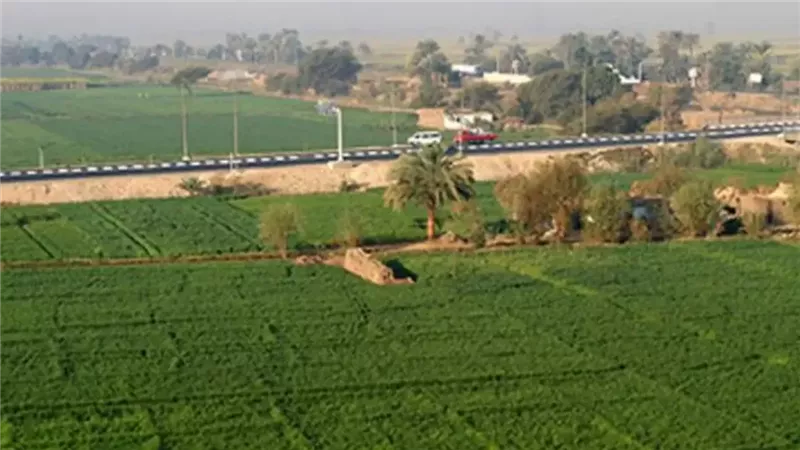 خطوات الحصول على أرضي وزارة الزراعة 2025.. اعرف الشروط