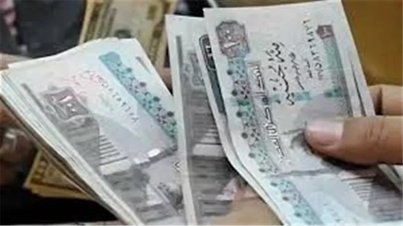 منحة العمالة غير المنتظمة 2025 .. كيفية التسجيل والشروط ومواعيد الصرف