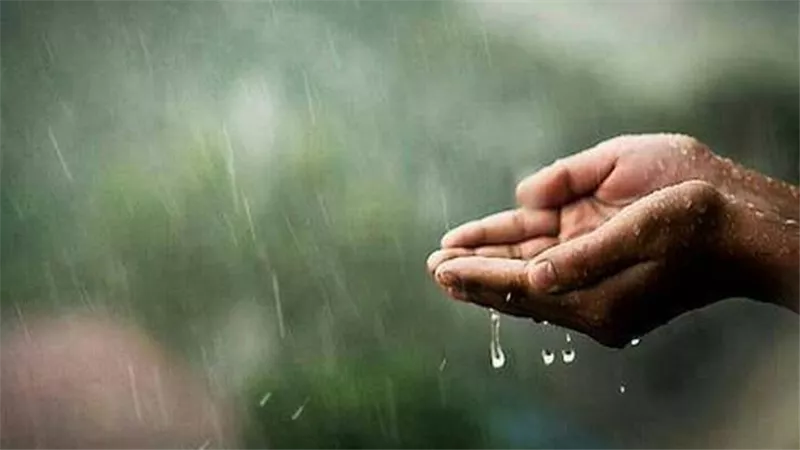 فضل التعرض لماء المطر في السنة النبوية .. الإفتاء توضح