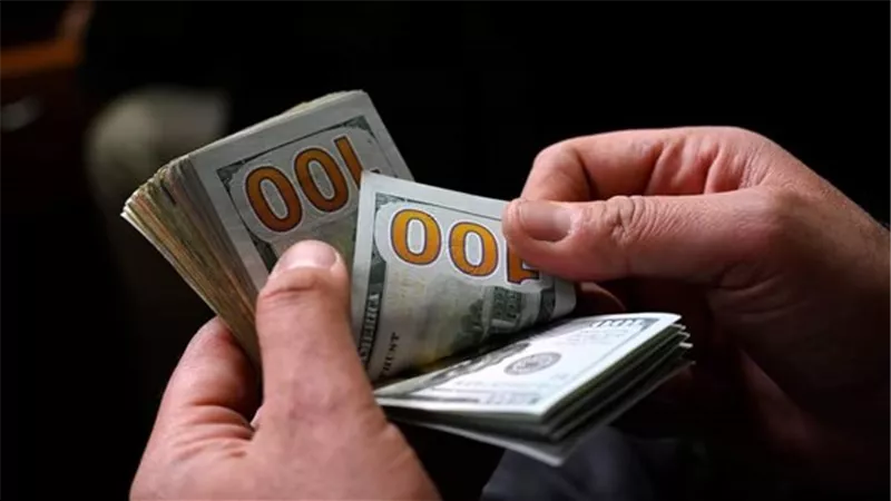 سعر الدولار مقابل الجنيه المصري الأربعاء 15 يناير 2025