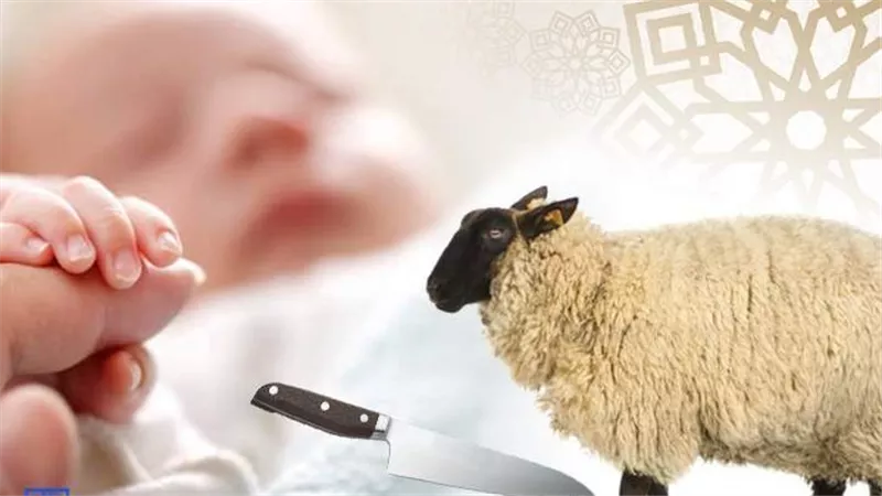 ما حكم العقيقة للمولود وما وقتها؟.. أمين الفتوى يوضح 