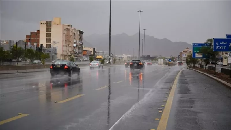نوة وشبورة مائية كثيفة.. حالة الطقس والظواهر الجوية المتوقعة اليوم الخميس 
