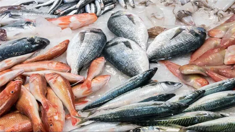 تعرف على أسعار السمك والجمبري في سوق العبور اليوم الجمعة 17 يناير