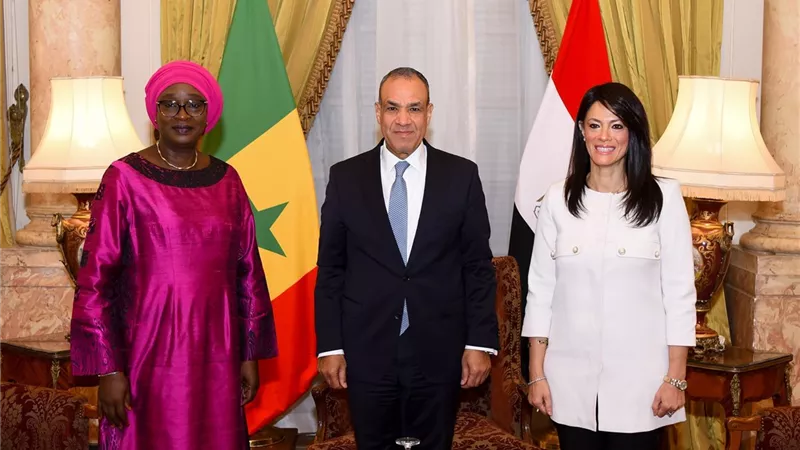 وزير الخارجية يبحث إنشاء خط ملاحي بين مصر والسنغال