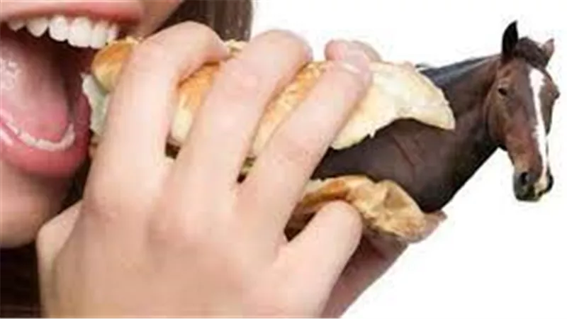   الإفتاء تحسم الجدل حول جواز أكل لحم الحصان .. حلال أم حرام؟