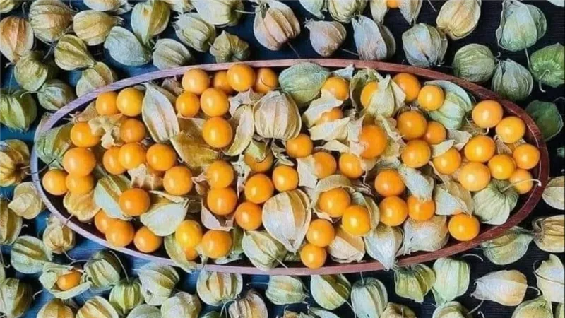 الفاكهة الذهبية.. 10 فوائد سحرية لتناول الحرنكش يوميًا على الريق