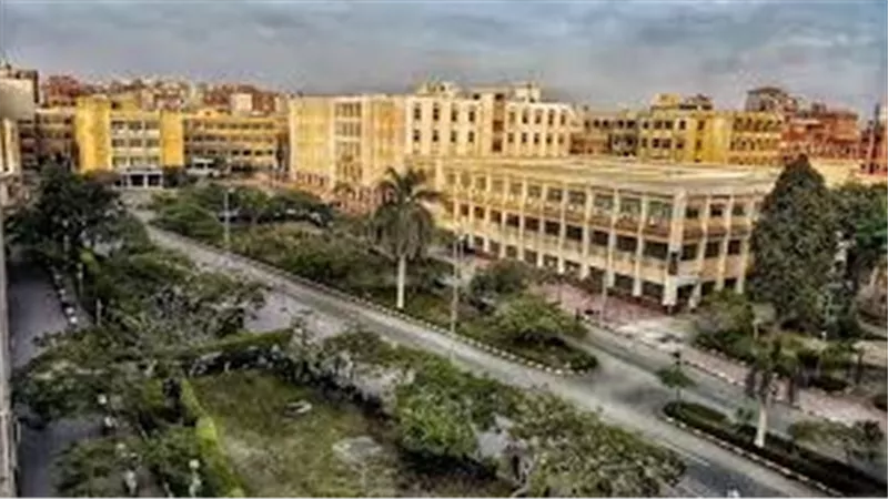نتيجة كلية التربية للطفولة المبكرة جامعة الزقازيق 2025