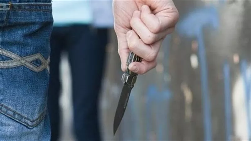 تشكيل لجنة للتحقيق في طـ.ـعن طالب زميله بالقناطر الخيرية