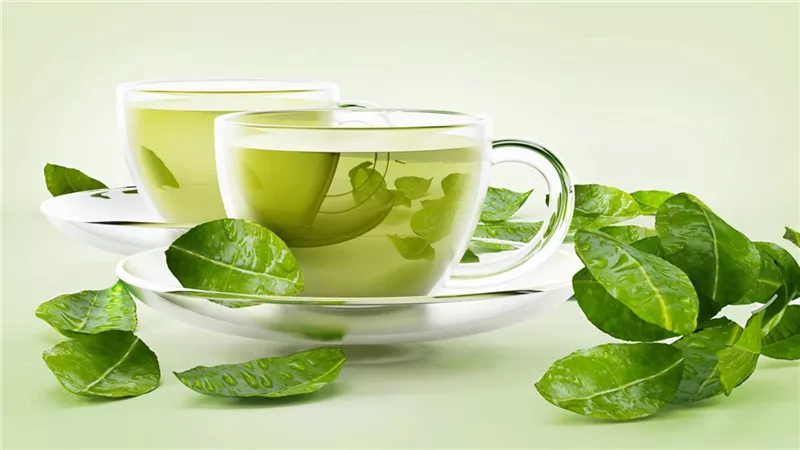 الشاي الأخضر صديق القلب والجمال.. مستقبل الشباب الدائم مع كوب واحد