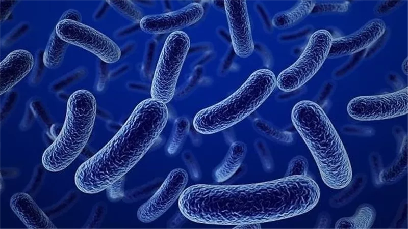 أعراض مشتركة بين فيروس ماربورغ والإنفلونزا.. تشابهات واختلافات يجب معرفتها