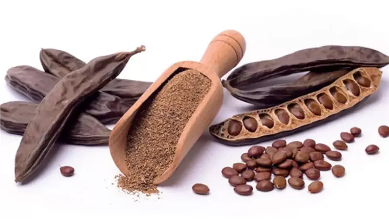 فوائد الخروب.. البديل الطبيعي للكاكاو خالٍ من الكافيين
