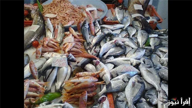 أسعار السمك والجمبرى اليوم الأربعاء 22-1-2025 داخل الأسواق والشوادر