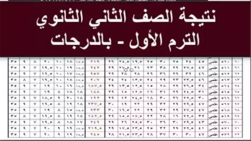 لينك نتيجة الصف الثاني الثانوي بالرقم القومي 2025