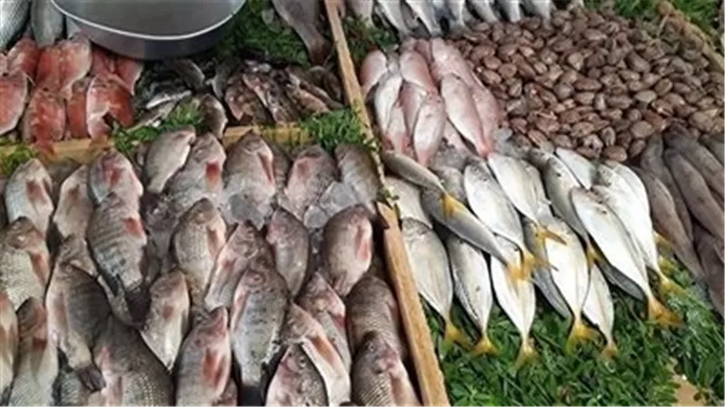 أسعار السمك والجمبري اليوم الخميس 23-1-2025 داخل الاسواق 