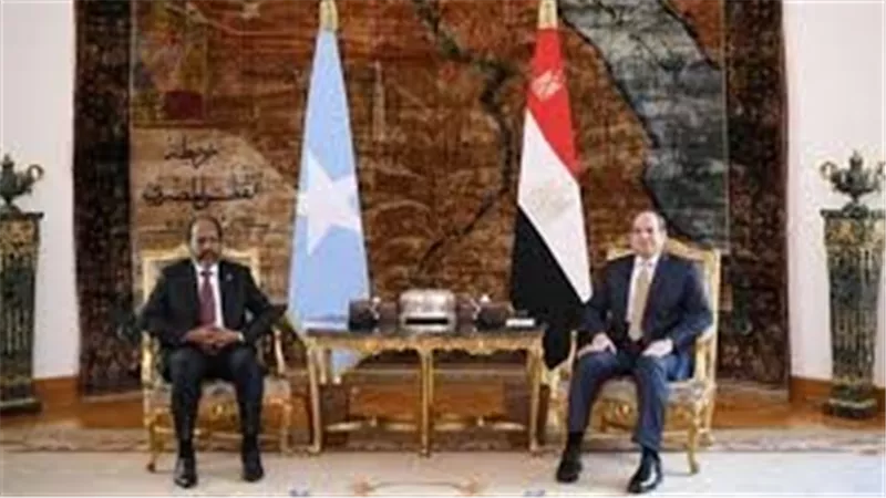 تفاصيل المباحثات المصرية الصومالية بين الرئيس السيسي ونظيره الصومالي 