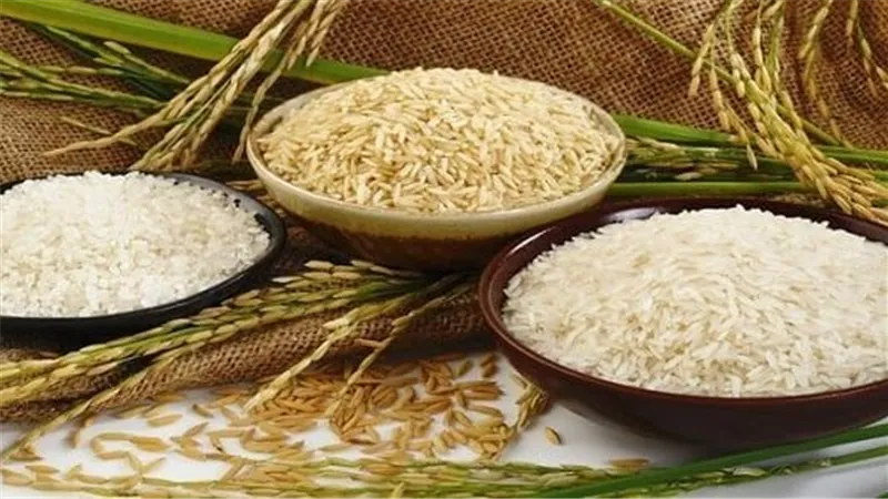  استقرار أسعار الأرز في الأسواق المصرية اليوم الجمعة..زيادة الطلب استعدادًا لشهر رمضان