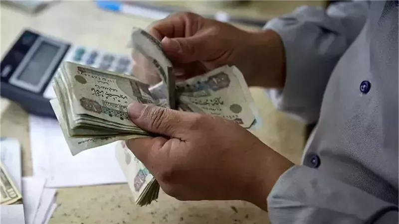 موعد صرف معاشات فبراير 2025 .. خطوات ورابط الاستعلام 