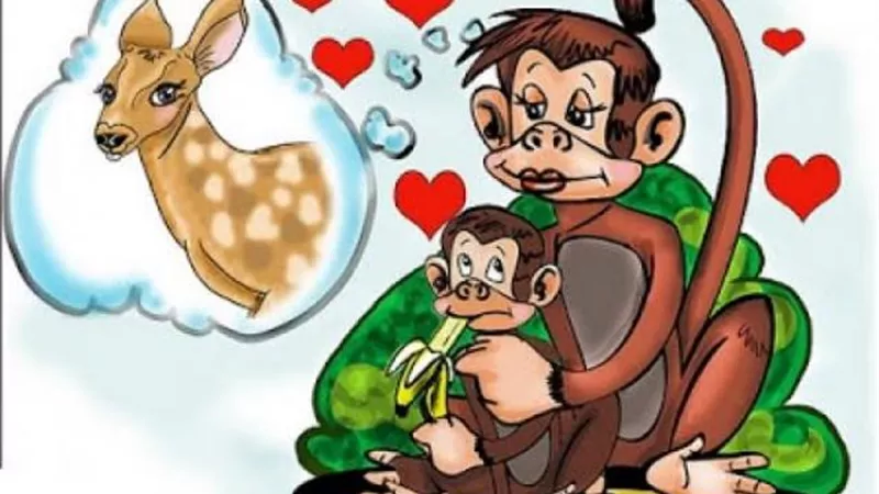 اعرف حكاية مثل ”القرد في عين أمه غزال”