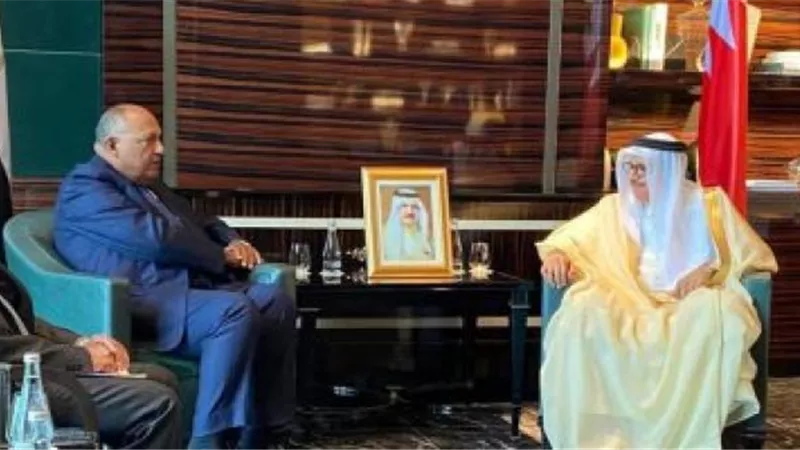 وزير الخارجية يسلم ملك البحرين رسالةً خطية من الرئيس السيسى