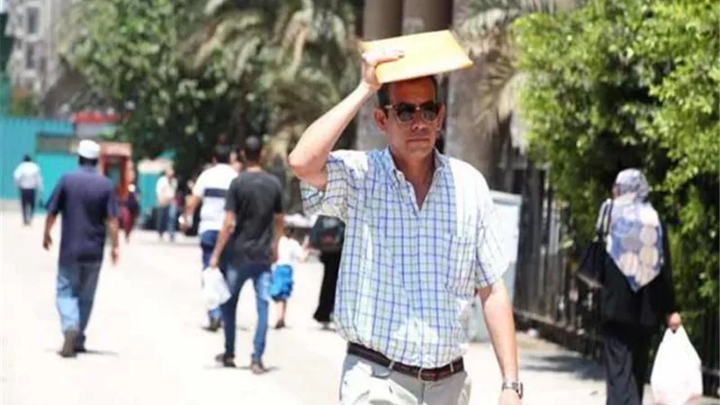 نصائح هامة للحماية من الحرارة والرطوبة المرتفعة
